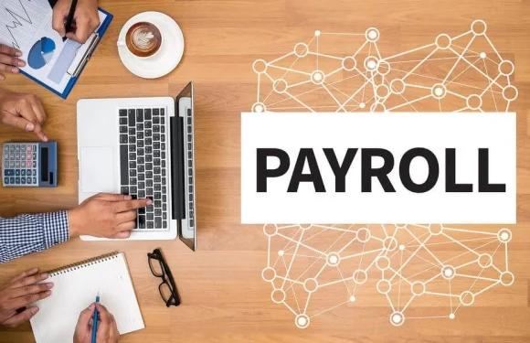 Is Payroll Software a Threat to Traditional Accountants? Here’s the Truth